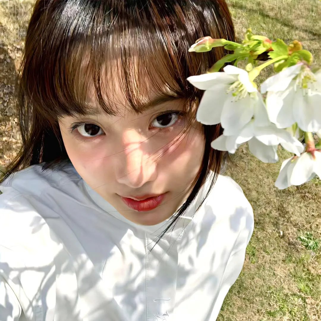 隐形红翼